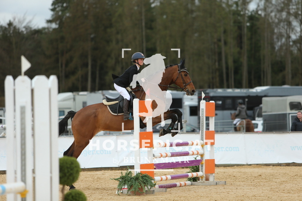 DL2Q2432 | Willkommen bei Brunnmayr - Design & Fotografie – Ihrem Spezialisten für Reitturniere und Pferdeveranstaltungen in Oberösterreich, Salzburg und Bayern! Seit über 17 Jahren sind wir leidenschaftlich dabei.