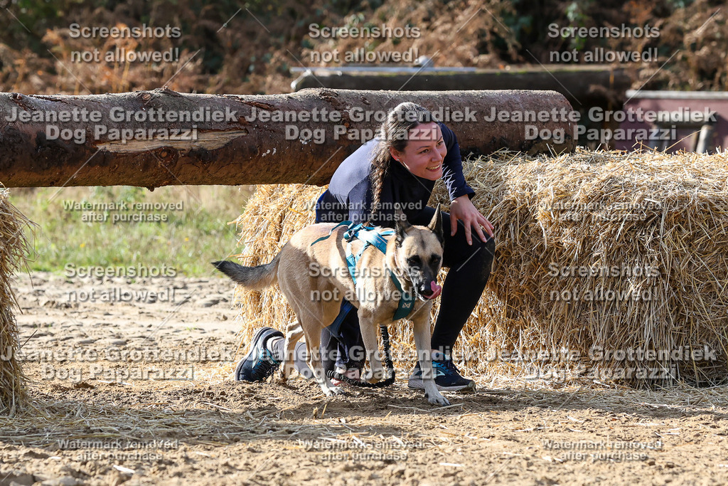 Dog Paparazzi - Strongdog 10-25-5855 | Dog Paparazzi Jeanette Grottendiek Fotografie & Videografie - Realisiert mit Pictrs.com