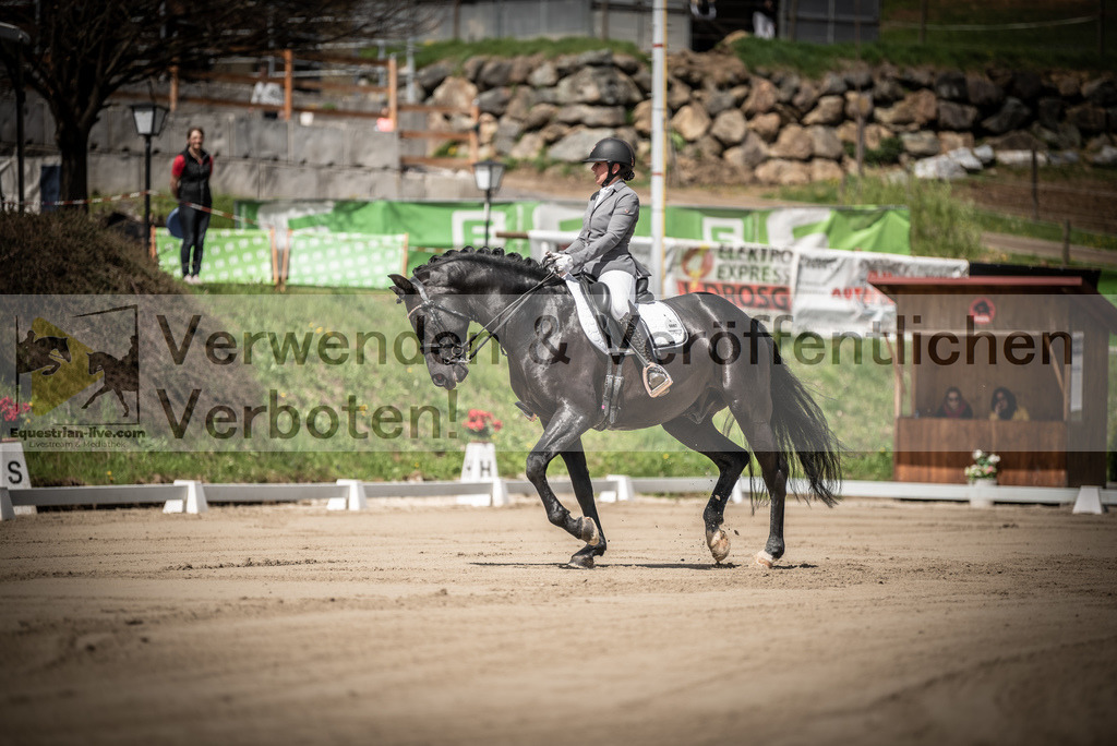 DSC_1377 | equestrian-live-com