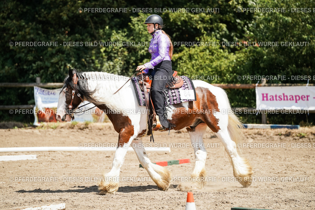 DSC07498 | Pferdegrafie