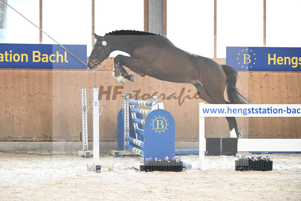 Kat-Nr. 10 Daenero_Feichtner_7240023 | hf-fotografie - Realisiert mit Pictrs.com