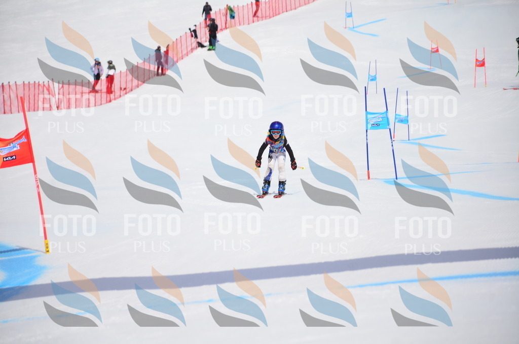 VR4_7431 | holidayphoto