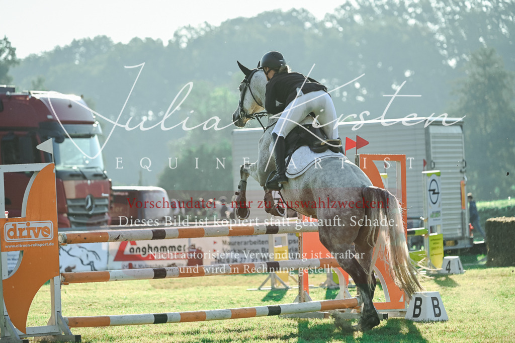 DSC_4251 | Pferde- und Turnierfotografie in Westsachsen. Pferdeportraits, Auftragszeichnungen und intuitive Kunst.