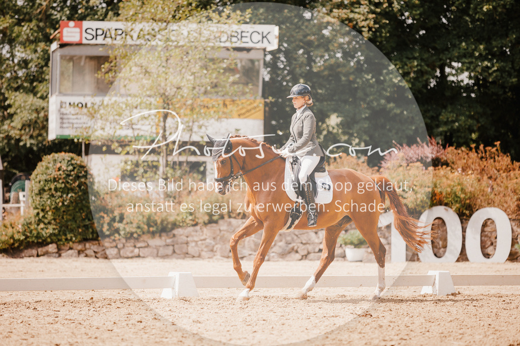 3I6A6057 | Stimmungsvolle Portraits und Reitsportfotografie im Ruhrgebiet und im Münsterland.

Pferdefotografie, Hundefotografie, Tierfotografie, Reportagen, Portraits von Tier und Mensch, Turnierfotografie in Bochum, Recklinghausen, Marl, Haltern am See, Dülmen.. - Realisiert mit Pictrs.com
