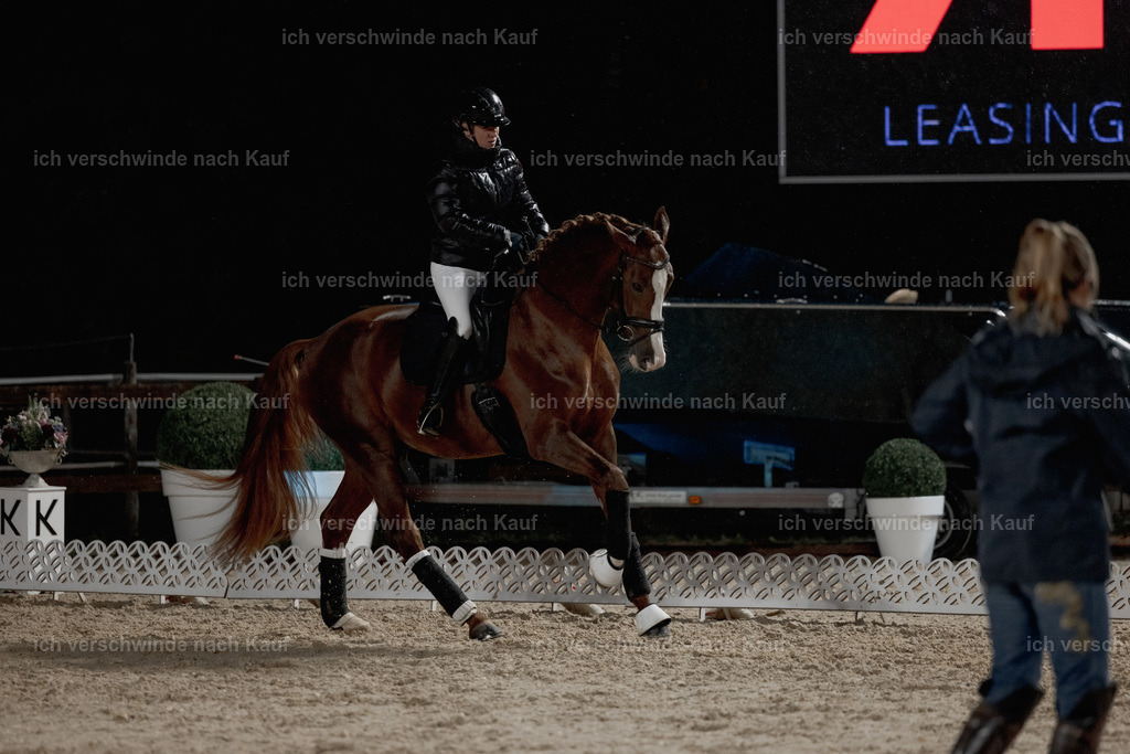 FHClassics-17 | working equitationturnier fotograf videograf stoibphotography marixx film working equitation deutschland reitsport turnierfotografie eventfotografie equestrian events