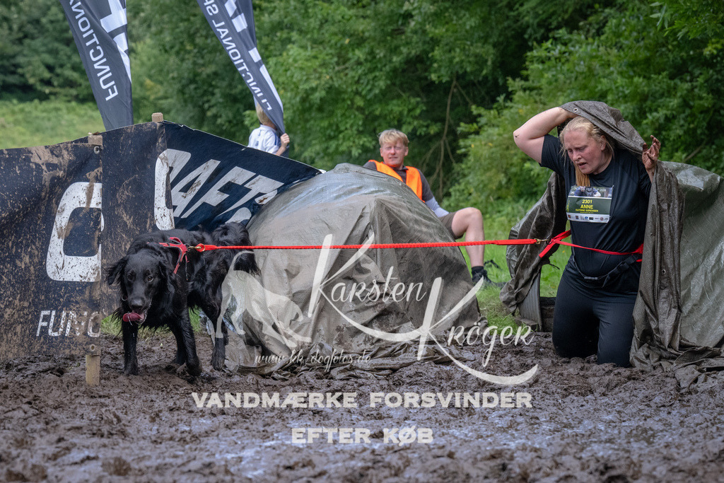 1643_ZZ94277 | kk-dogfotos