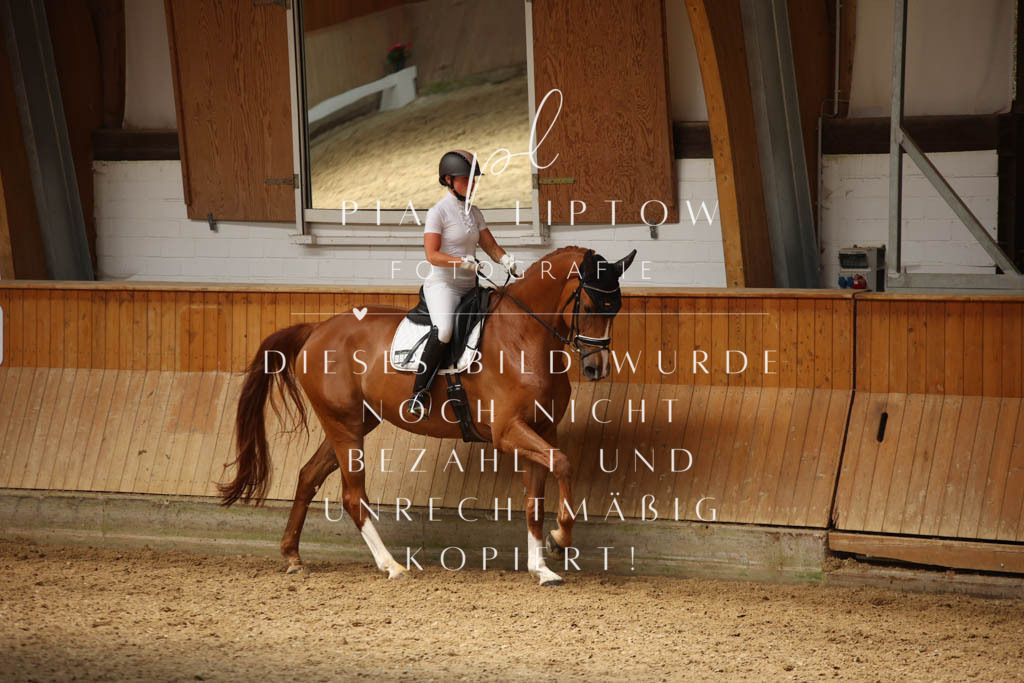 IMGS1376 | pl-fotografie