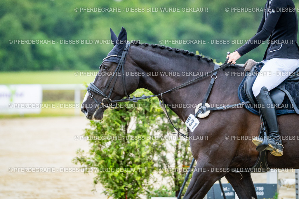 DSC00890 | Pferdegrafie