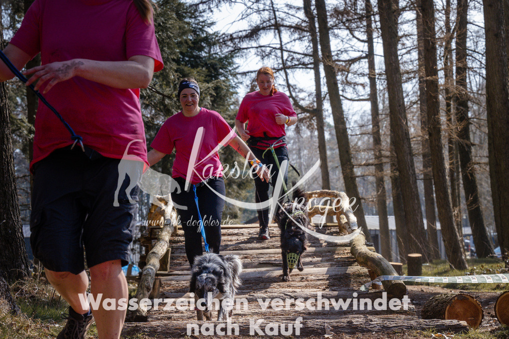 1345_ZZ96376 | kk-dogfotos