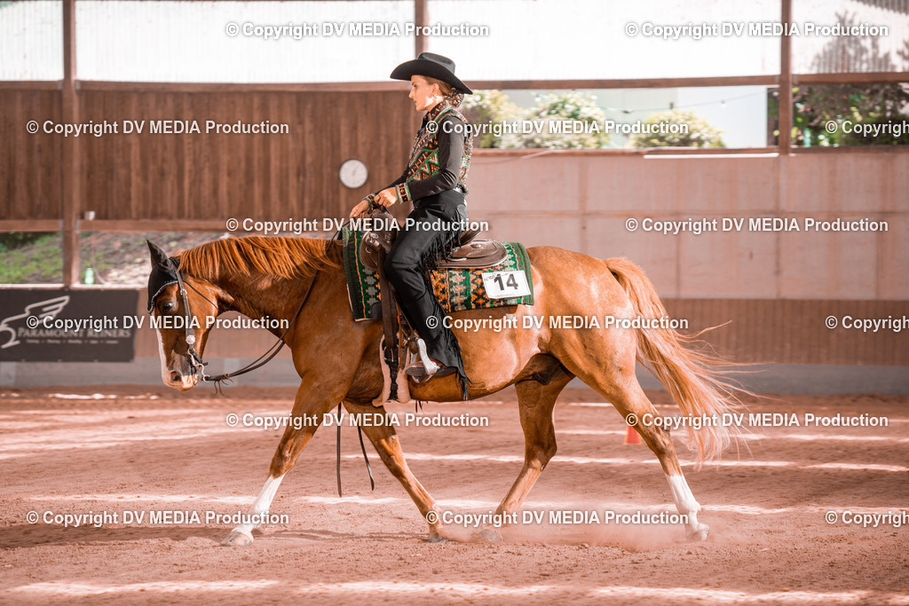 NE300628 | dv-media-shop - Realisiert mit Pictrs.com