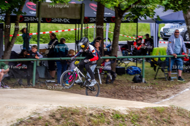 BayBMX2026-06279 | Fotogalerie von Thomas Dettweiler mit Eventbildern und lizenzfreien Fotos. Perfekt als Wandbild, für Büro, Website oder private Nutzung. - Realisiert mit Pictrs.com