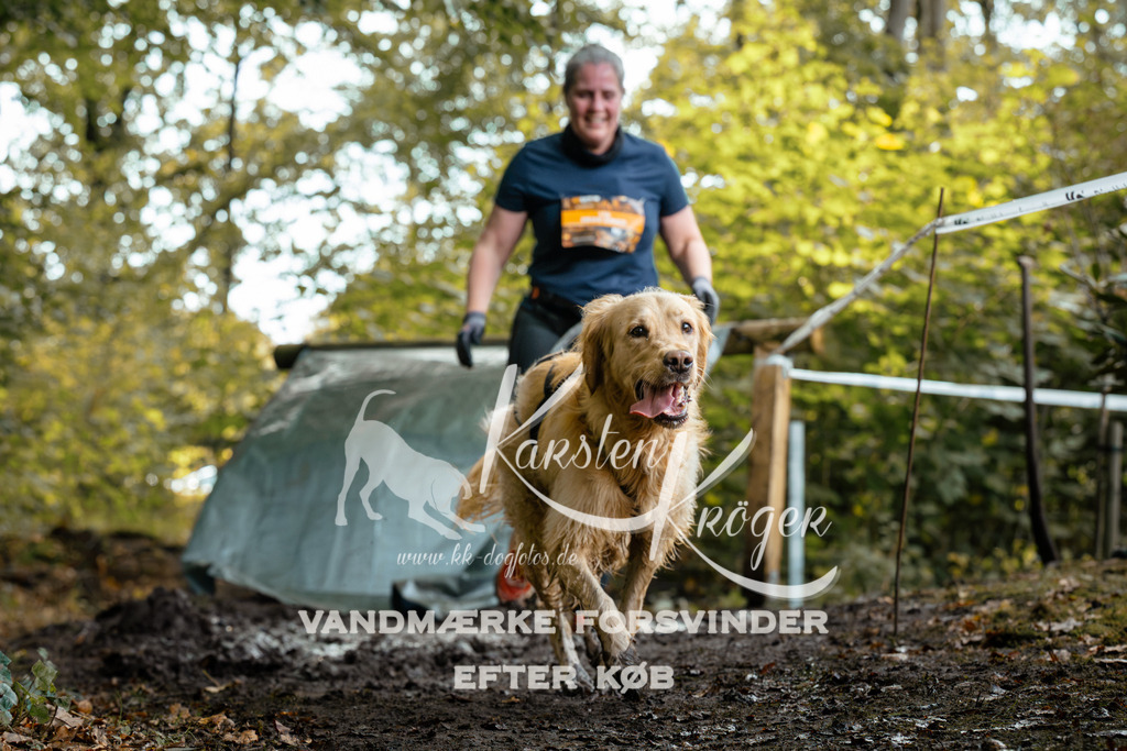 1417DZ6_1497Z6 | kk-dogfotos