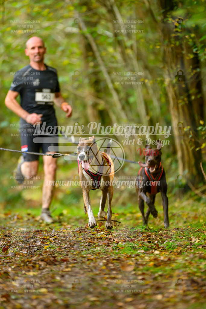 MompixPhotography_20TSB_E1_Run-105 | PayLife
