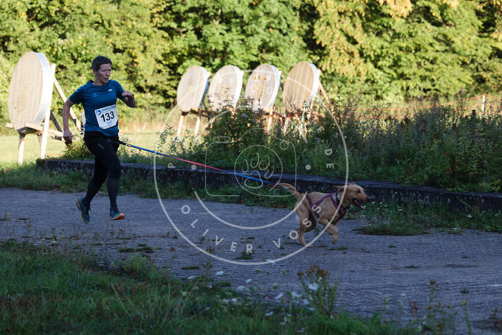 0L8A4858 | Hundefotografie, Tierfotograf, Pfotenfotografie, Fotoshooting Hund, Hunde Portrait, Hundesport, Hundeportraits, Heideshooting, Hunde, Sportfotograf, Hundefotograf, Turnierhundsport, THS,  - Realisiert mit Pictrs.com