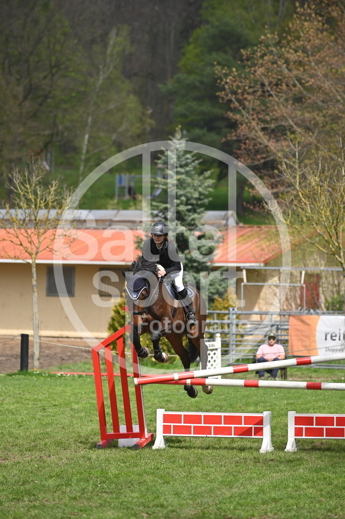 DSC_3878 | sattelsport - Realisiert mit Pictrs.com