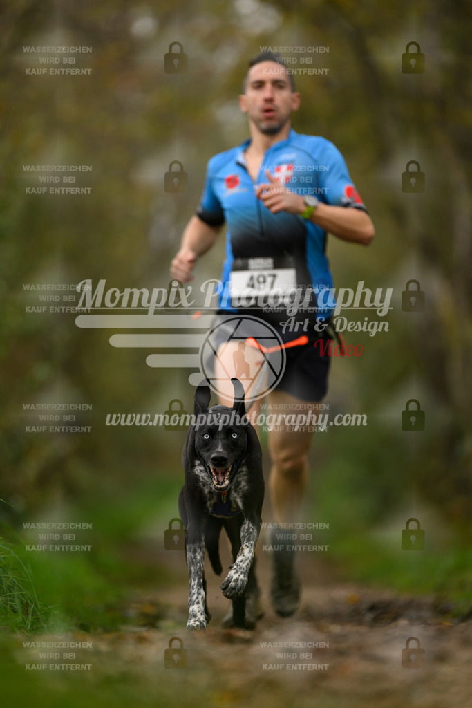 MompixPhotography_20TSB_E6_Run-43 | PayLife