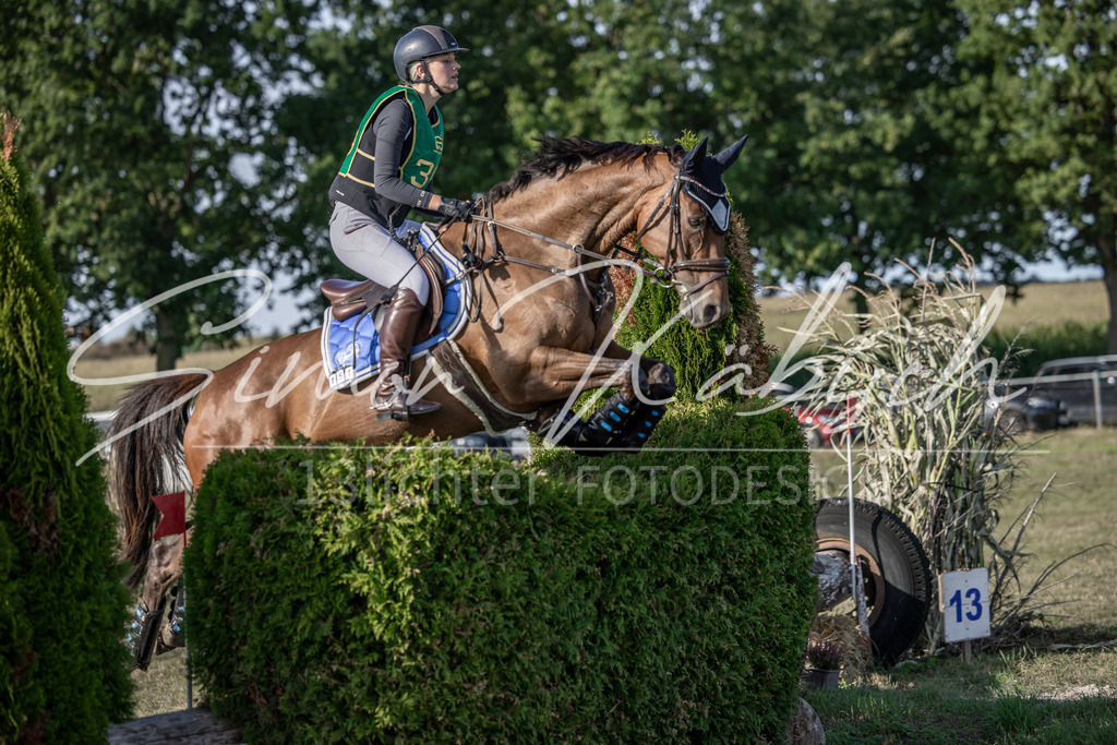 20250907-_3LI4027 | Tierfotografie Pferde, Hunde, Katzen, Haustiere.
Turnierfotografie Reitturniere, Reiten, Springreiten, Dressur in Hanau, dem Main-Kinzig-Kreis und dem Rhein-Main- Gebiet um Frankfurt