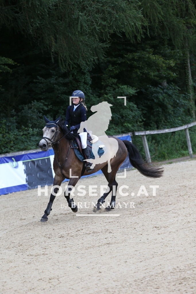 DL2Q4536 | Willkommen bei Brunnmayr - Design & Fotografie – Ihrem Spezialisten für Reitturniere und Pferdeveranstaltungen in Oberösterreich, Salzburg und Bayern! Seit über 17 Jahren sind wir leidenschaftlich dabei.