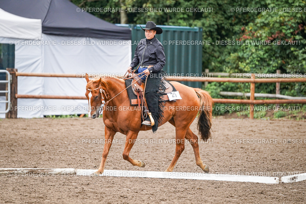 DSC03236 | Pferdegrafie