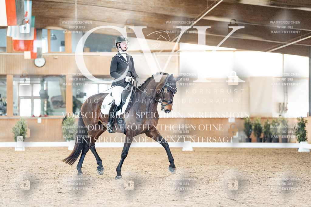 CK908777 | Turnierfotografie Pferdefotografie Trier Rheinland-Pfalz Pferdesport Reitsport Tierfotografie Sportfotografie Pferdevideo Pferdevideografie Equestrianvideography equestrianphotography  - Realisiert mit Pictrs.com