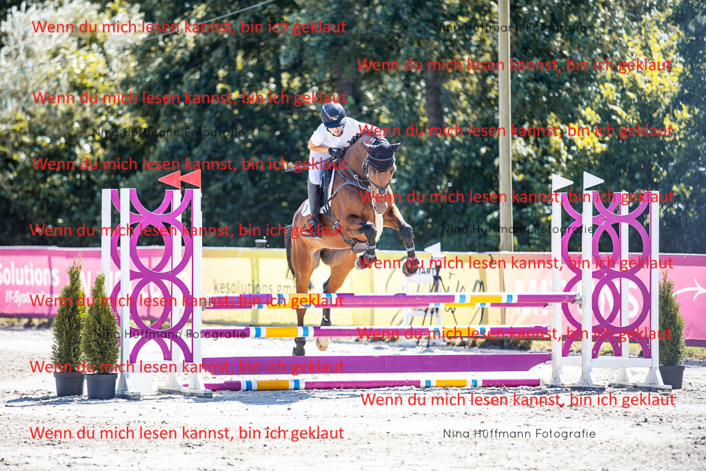 BK1A5377 | Turnierbilder Turnierfotos Nina Hüffmann Turnierfotografie Pferdefotografie Tierzeichnung Haustierzeichnung Pferdezeichnung Hundezeichnung Videograf  - Realisiert mit Pictrs.com