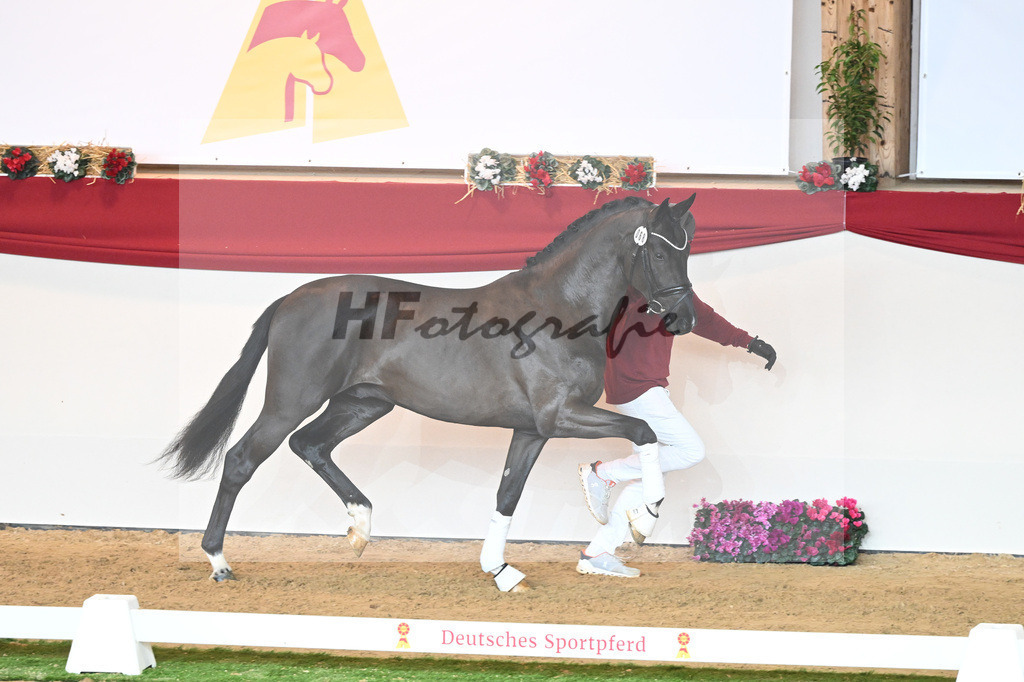 Kat-Nr. 68 Secret_Reich_1230601 | hf-fotografie - Realisiert mit Pictrs.com