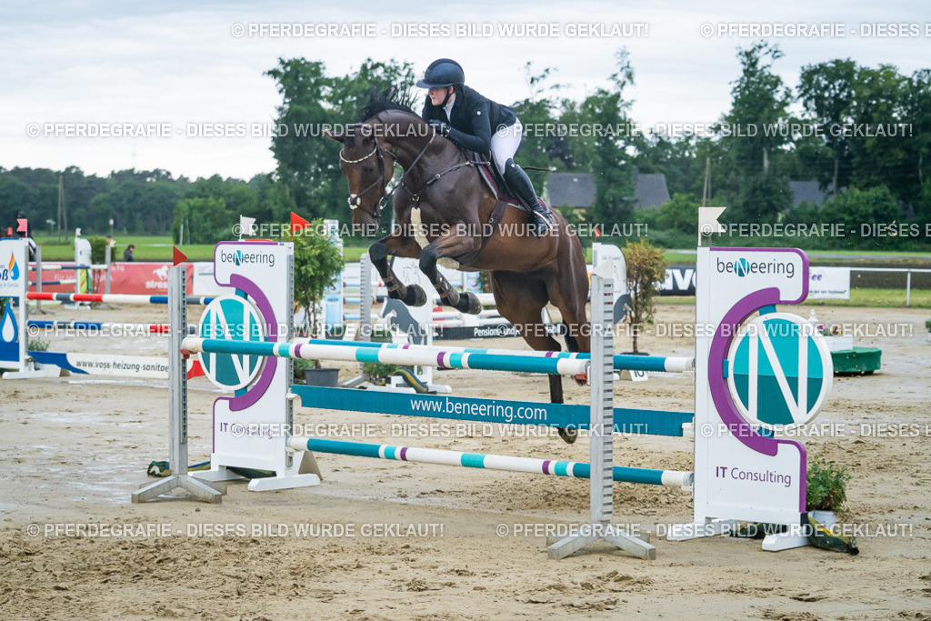 DSC04195 | Pferdegrafie