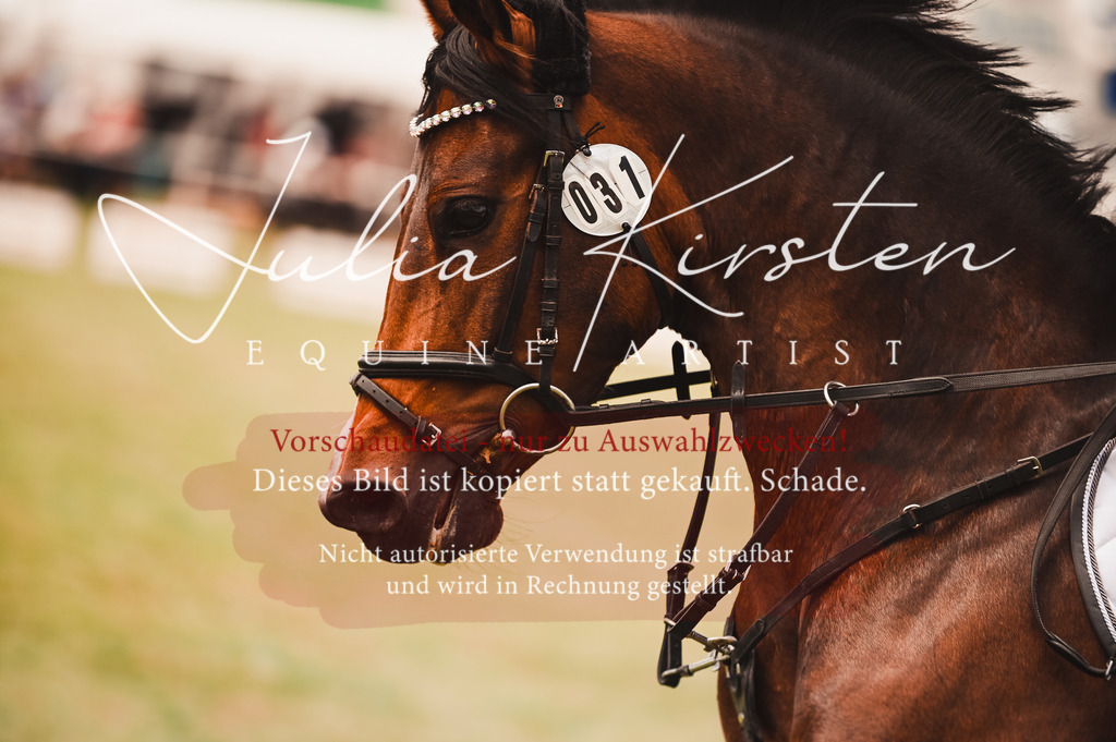 DSC_6930 | Pferde- und Turnierfotografie in Westsachsen. Pferdeportraits, Auftragszeichnungen und intuitive Kunst.