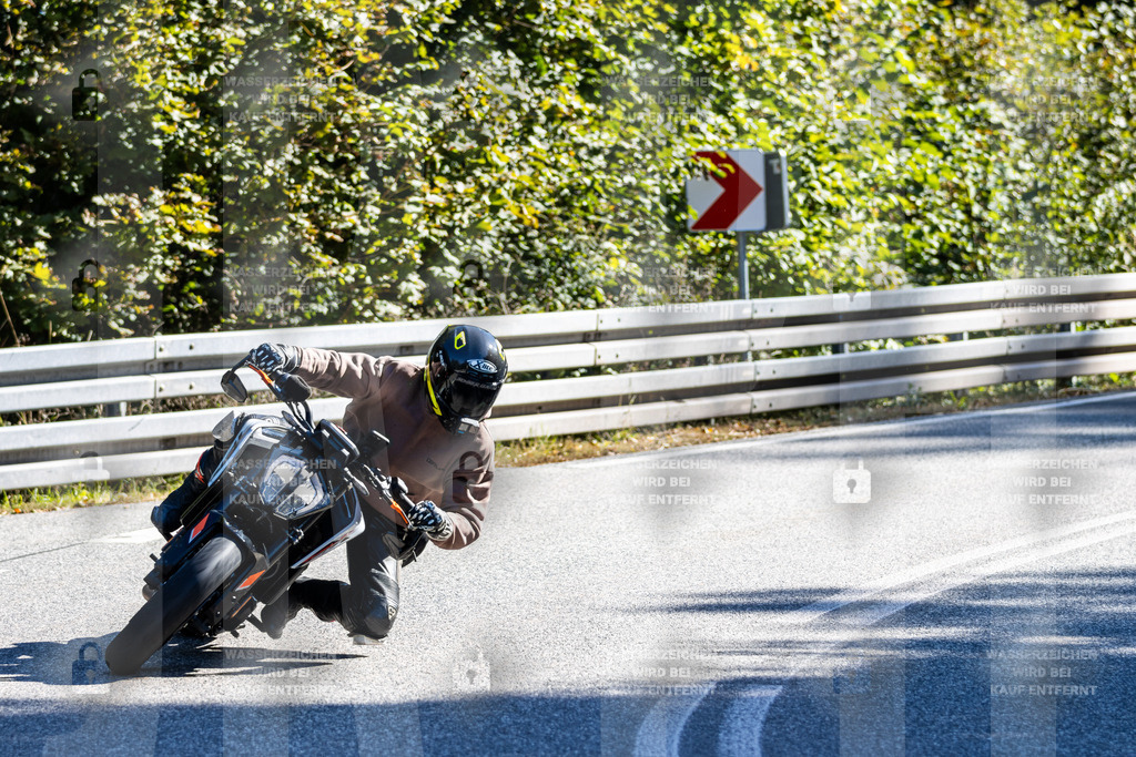 IMG_3230 | jrph - Realisiert mit Pictrs.com