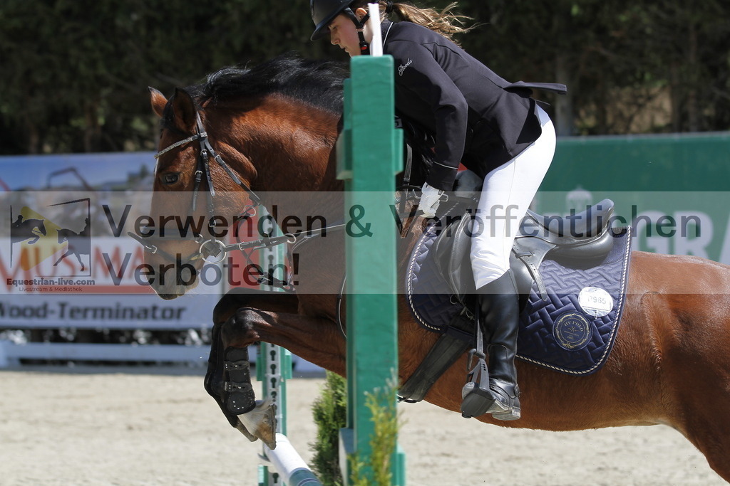 _MG_0171 | equestrian-live-com