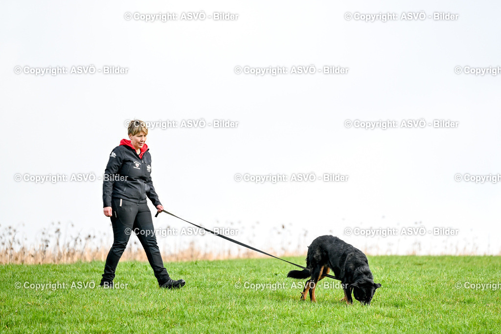 ASVÖ_ Tracking Dog World Championship 2025_ 31.03.2025-76 | 31.03.2025, AUT, ASVÖ, Tracking Dog World Championship // FCI IGP Fährtenhundeweltmeisterschaft 2025©fodo.media / Harald Dostal - Realisiert mit Pictrs.com