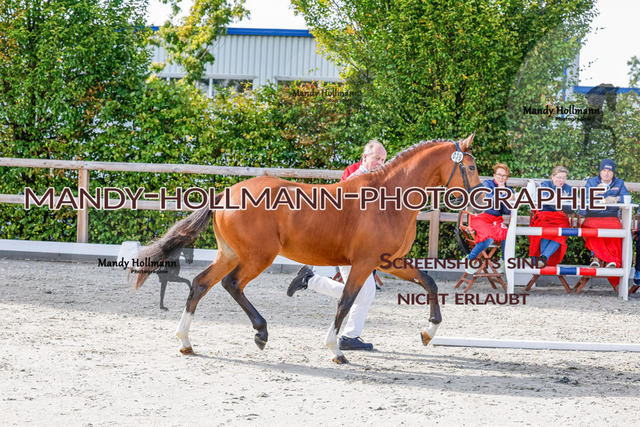 DR (120 von 1791) | mandyhollmannphotographie
