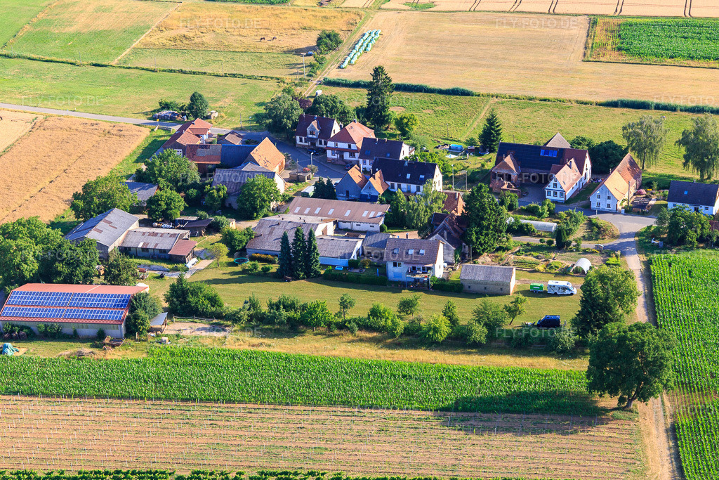 Luftbild: Kaplaneihof im Ortsteil Deutschhof in Kapellen-Drusweiler im Bundesland Rheinland-Pfalz in Deutschland. Foto: IMG_149370.jpg vom 05.07.2025 durch Werner Riehm/FLY-FOTO.de