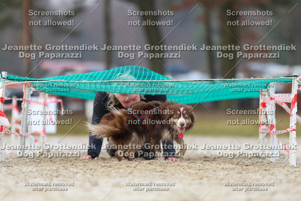 Dog Paparazzi - Strongdog North Mrz26-3757 | Dog Paparazzi Jeanette Grottendiek Fotografie & Videografie - Realisiert mit Pictrs.com