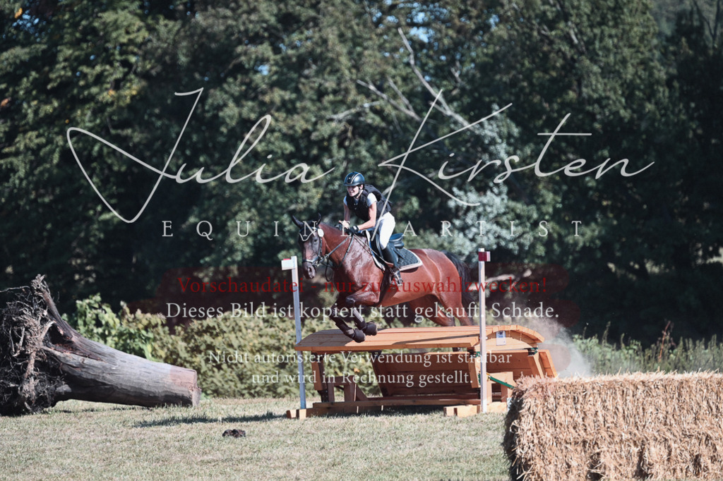 DSC_8529 | Pferde- und Turnierfotografie in Westsachsen. Pferdeportraits, Auftragszeichnungen und intuitive Kunst.