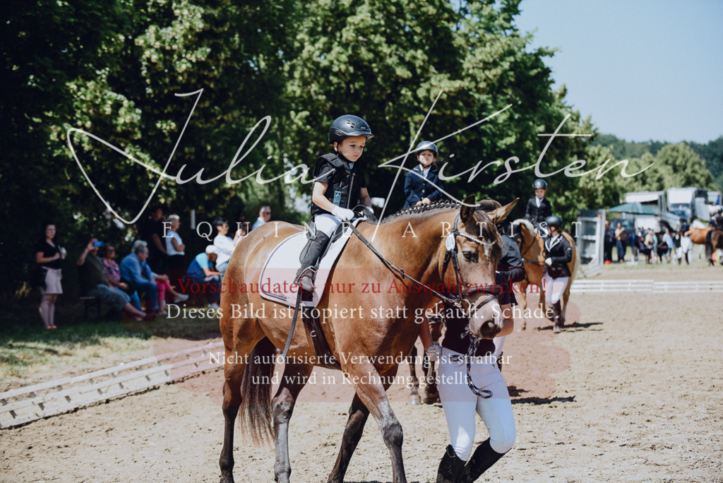DSC_2444 | Pferde- und Turnierfotografie in Westsachsen. Pferdeportraits, Auftragszeichnungen und intuitive Kunst.