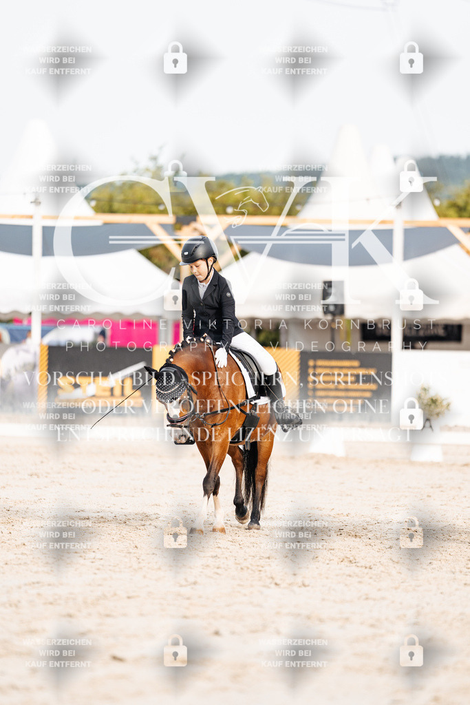 CK904331 | Turnierfotografie Pferdefotografie Trier Rheinland-Pfalz Pferdesport Reitsport Tierfotografie Sportfotografie Pferdevideo Pferdevideografie Equestrianvideography equestrianphotography  - Realisiert mit Pictrs.com