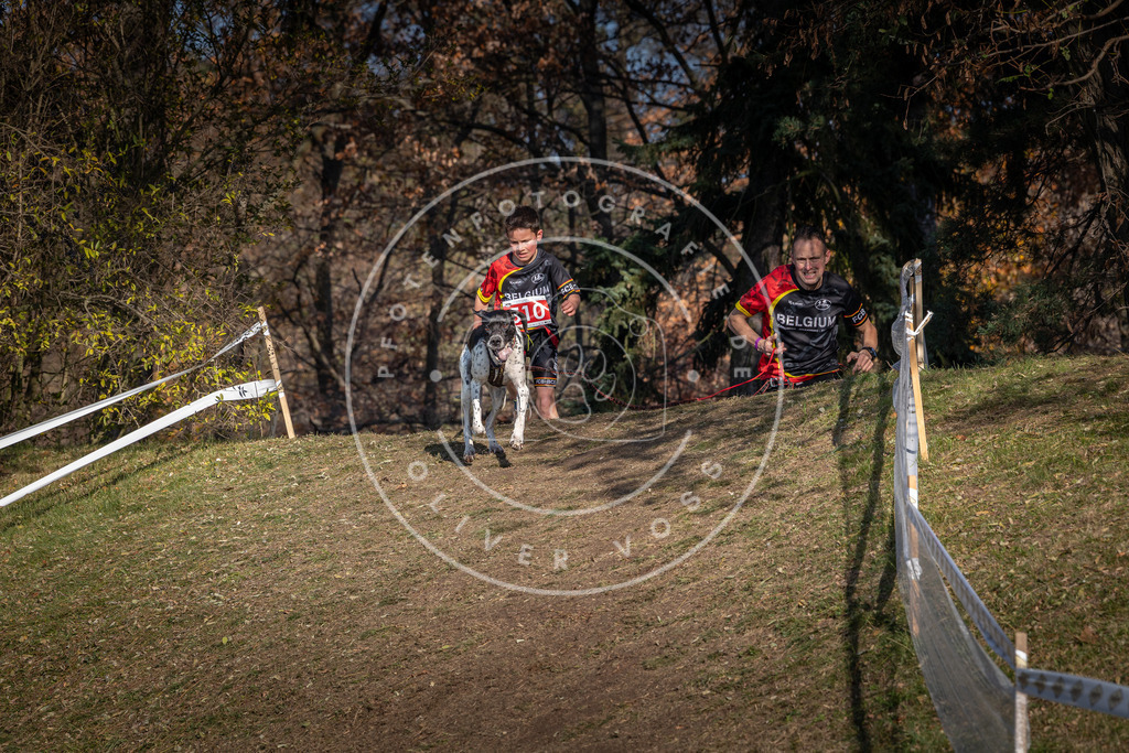 CaniXpix_0L8A8318 | Hundefotografie, Tierfotograf, Pfotenfotografie, Fotoshooting Hund, Hunde Portrait, Hundesport, Hundeportraits, Heideshooting, Hunde, Sportfotograf, Hundefotograf, Turnierhundsport, THS,  - Realisiert mit Pictrs.com