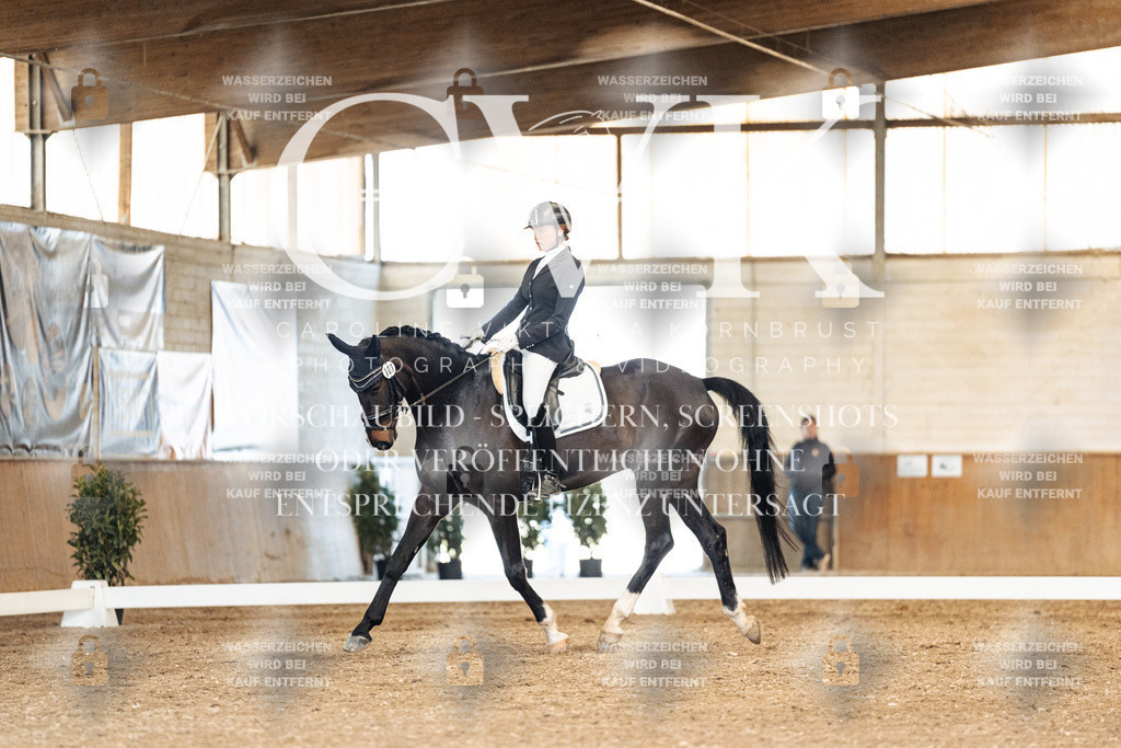 CK901169 | Turnierfotografie Pferdefotografie Trier Rheinland-Pfalz Pferdesport Reitsport Tierfotografie Sportfotografie Pferdevideo Pferdevideografie Equestrianvideography equestrianphotography  - Realisiert mit Pictrs.com