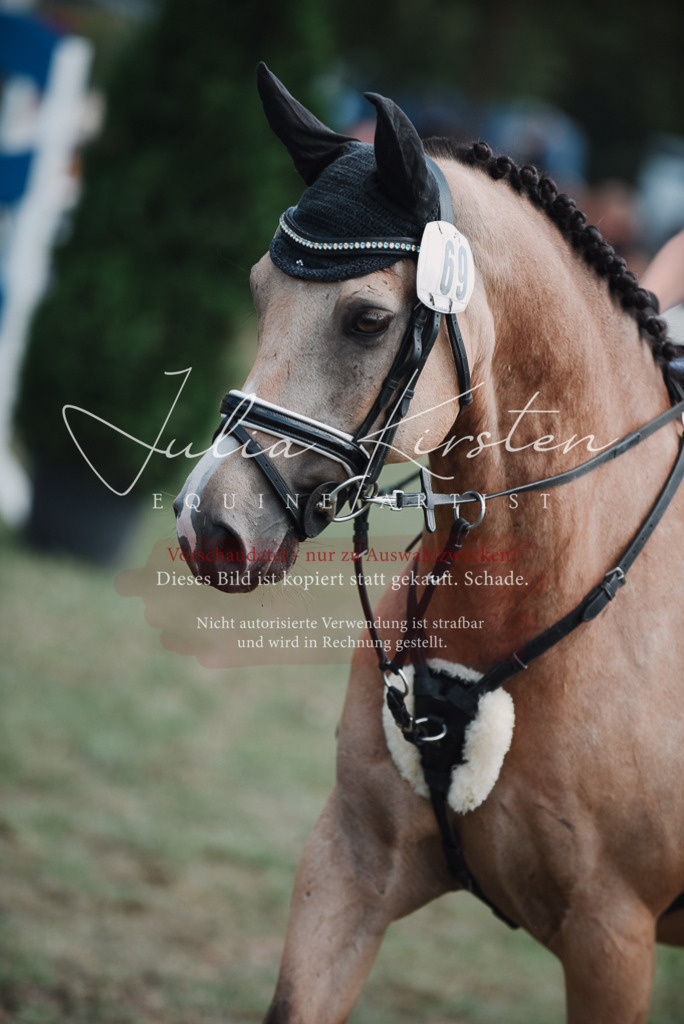 DSC_5812 | Pferde- und Turnierfotografie in Westsachsen. Pferdeportraits, Auftragszeichnungen und intuitive Kunst.
