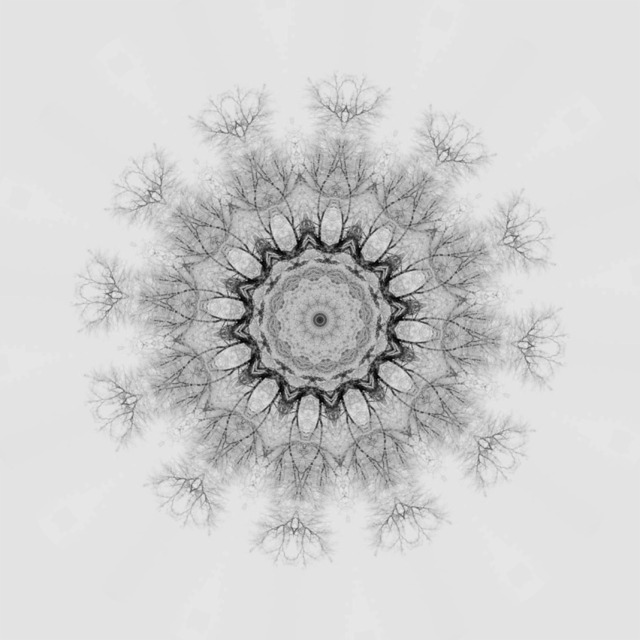 Kopfweide Winter2 | Outdoorpixl Teßen OHG - Realisiert mit Pictrs.com