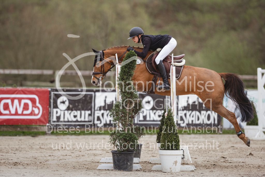 240330_Fruehlingsfest_Stil-A2-2-753 | Deine schönsten Turniermomente als professionelle Fotos! Entdecke hochwertige Pferdesport-Fotografie im Online-Shop. Jetzt Fotos finden & bestellen!