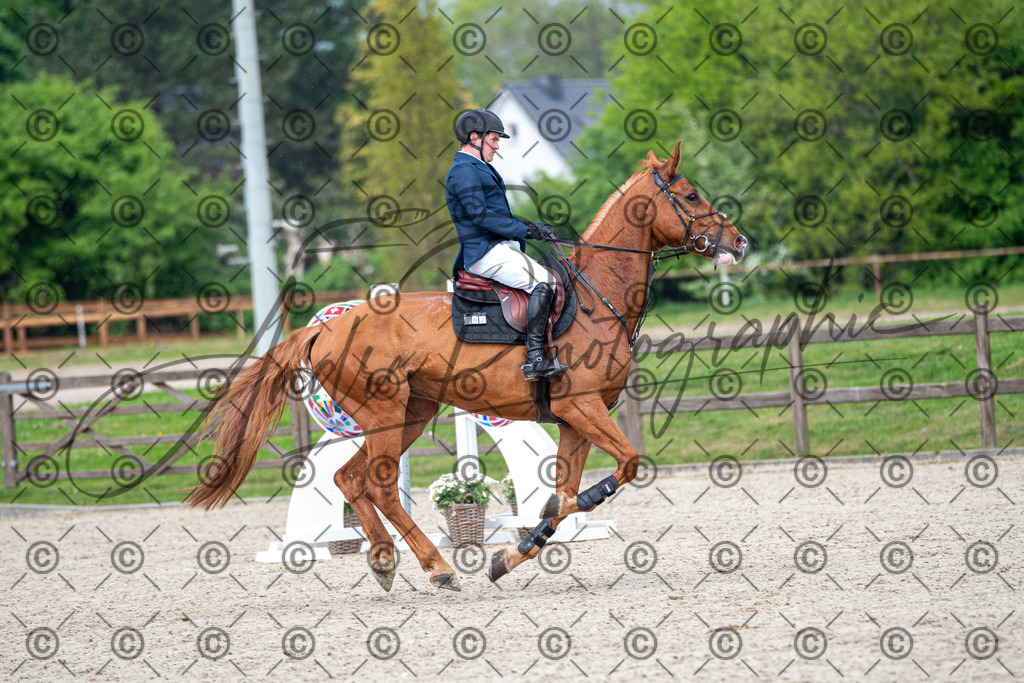 KPT_3237 | andre_photographic