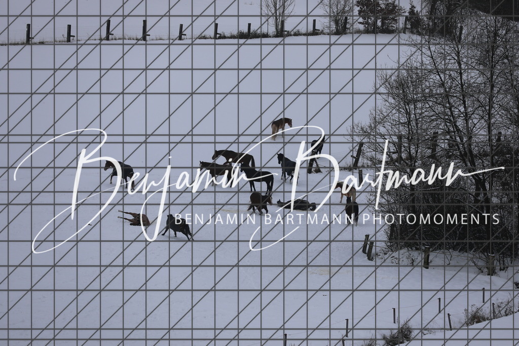 AZ2A3427 | Benjamin Bartmann Photomoments