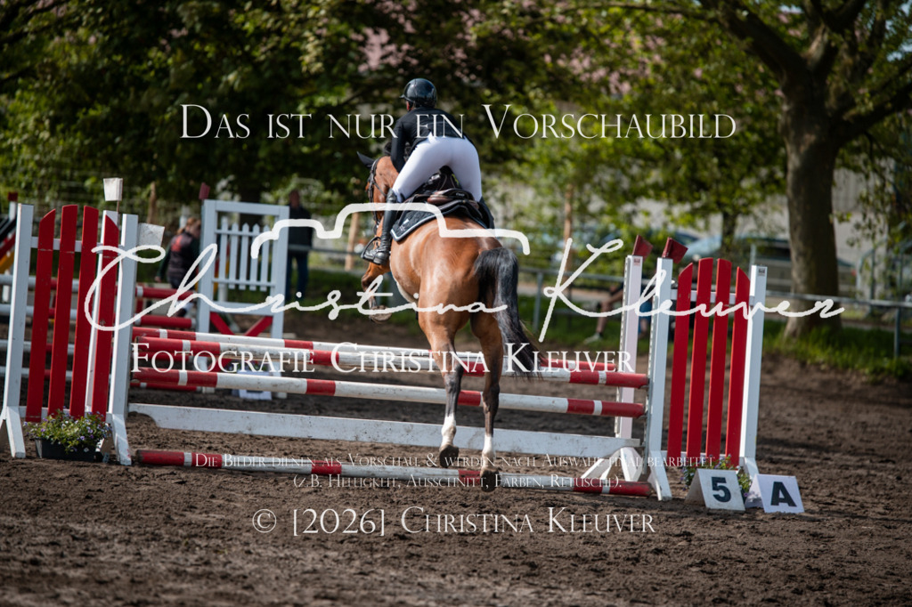 DSC_0356 | Christina-Kleuver