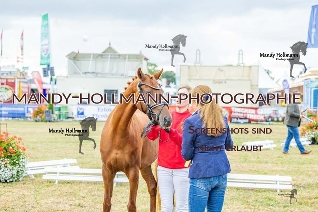 26-8-22 DR 4j-178 | mandyhollmannphotographie