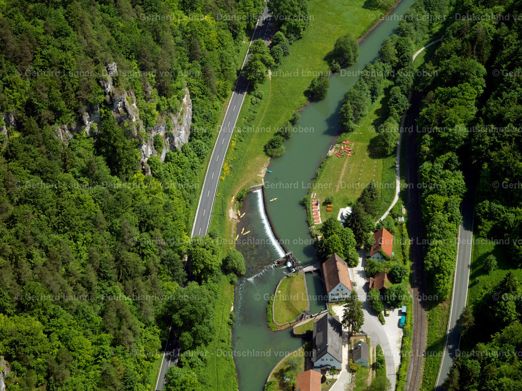 2813021 | Die Wiesentan der Sachsenmühle