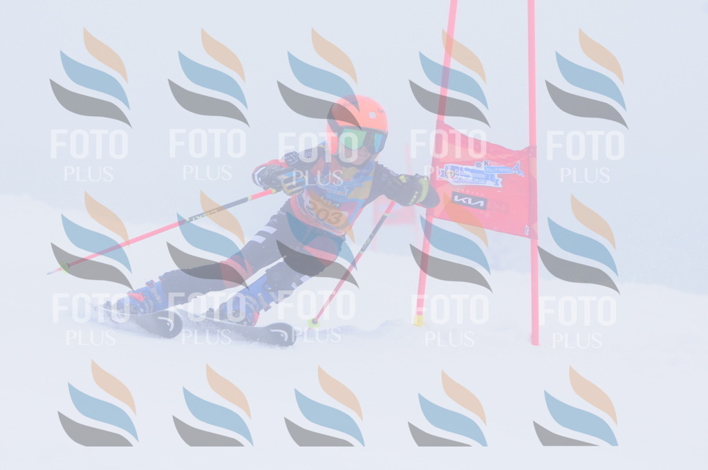 C2210 | holidayphoto