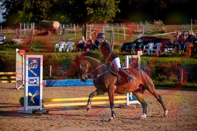 2026_10_03_Siefer-Hof_171023_Z81_07087847 | Professionelle Reitsport-, Turnier- und Eventfotografie von Robert Broda. Galerien mit ausgewählten und bearbeiteten Bildern direkt online ansehen und bestellen.