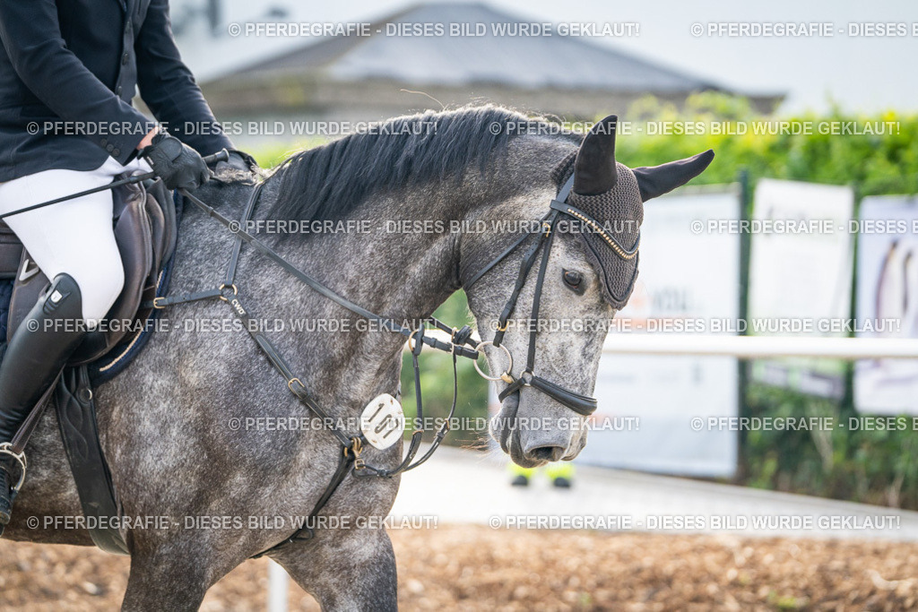 DSC07628 | Pferdegrafie